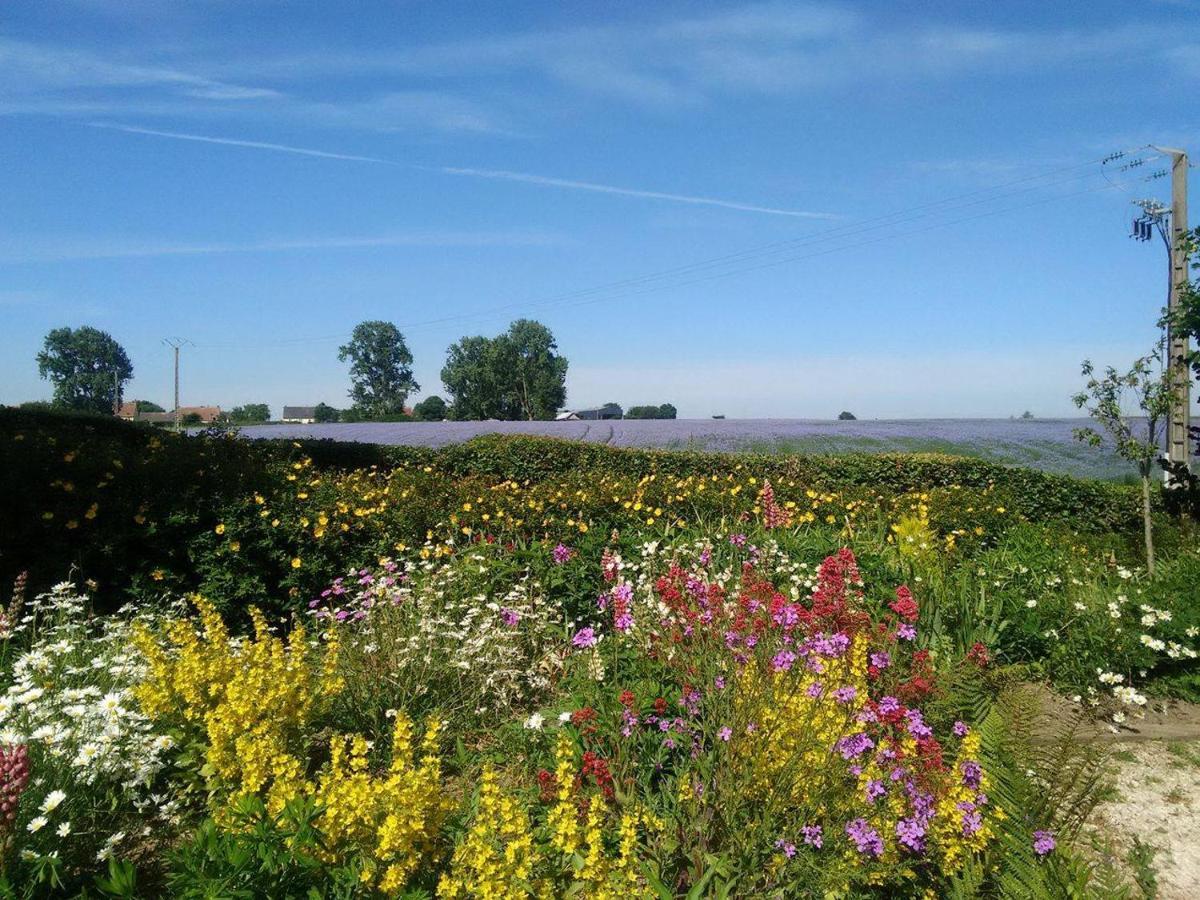 Les Coquelicots Nibas Exterior foto