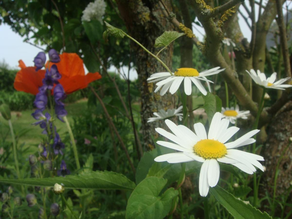 Les Coquelicots Nibas Exterior foto